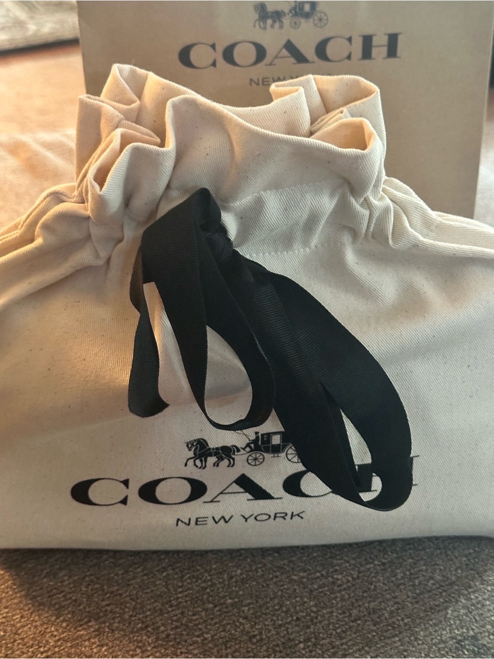 Coach ❤️Limited Charlotte Shoulder Bag In  Black Crocodile-embossed leather. NWT - Picture 14 of 14